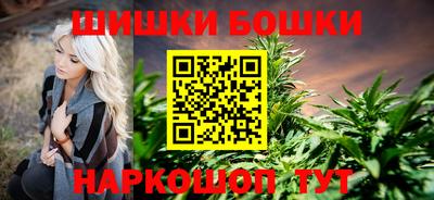 сатива Кингисепп