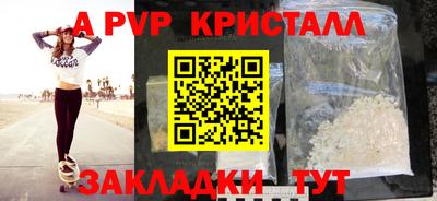 сатива Кингисепп