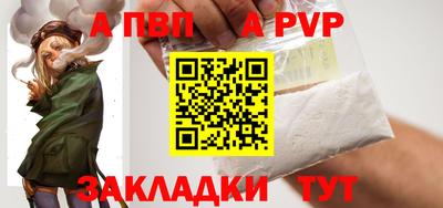 сатива Кингисепп